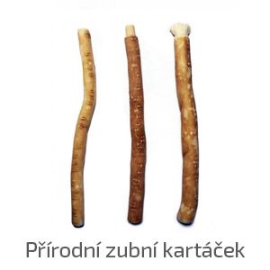 Přírodní zubní kartáček